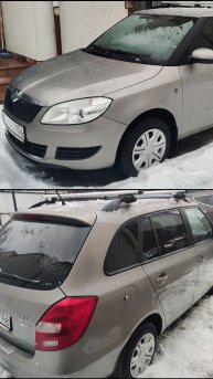 Купили бы такую шкоду?