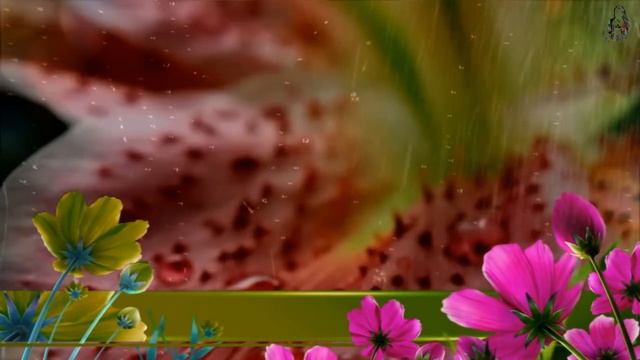 ПУСТЬ ПЛАЧУТ ДОЖДИ_Лариса Истомина_композитор Д.Гасиа_сл Валерий Гурков_Смонтаж Марина Антипова