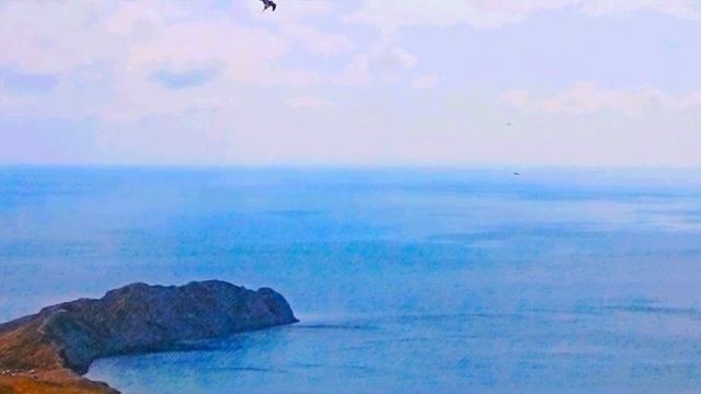 Роман и Небесный Боян - Путишествие к Морю .