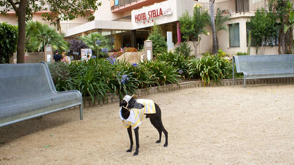 Callisto in Spain (Barcelona-Kosta Brava)