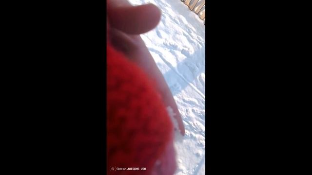 Котобаз