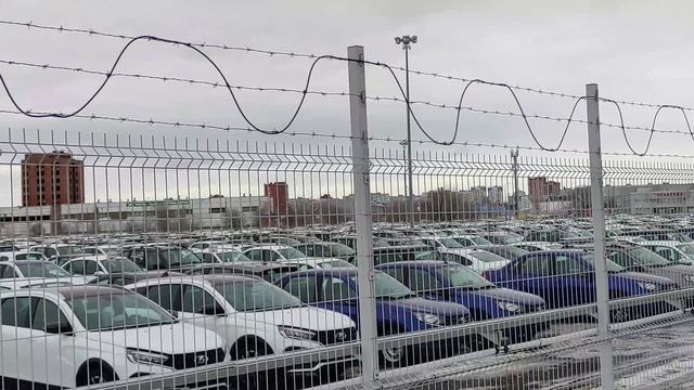 КУДА ИХ ДЕВАТЬ ТЕПЕРЬ?! МАРТ 2025 ГОД.