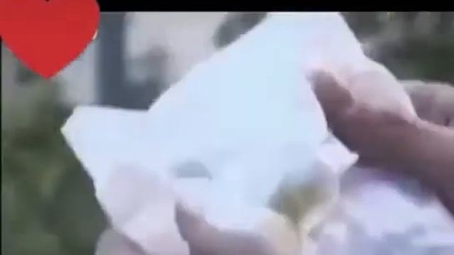 Вот это любовь