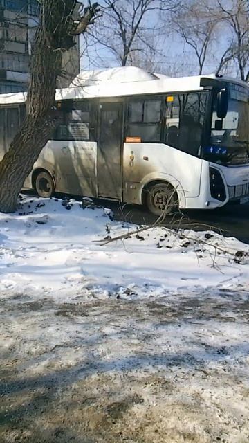 семьдесят шестой маршрут Курган автобус
