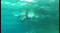 snorkling i EGYPT