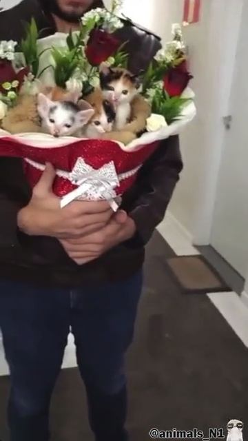 УГАРНЫЕ ПИТОМЦЫ. ССЫЛКА В ОПИСАНИИ!