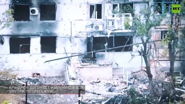 ВСУ отправили на верную смерть колумбийских наёмников в Красногоровке (ДНР)