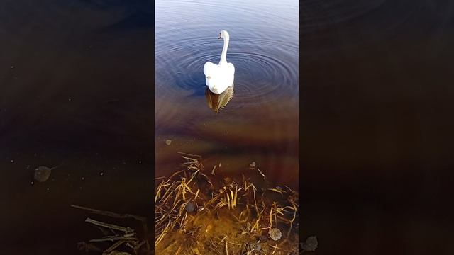 ještě jedna zastávka u téhož jezírka.