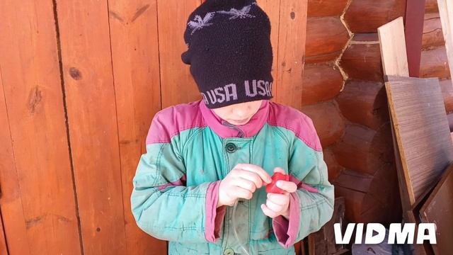 обучение как добывать берёзовый сок