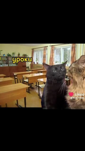 один день первой смены💜🖤