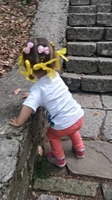 VID_20220720_154952