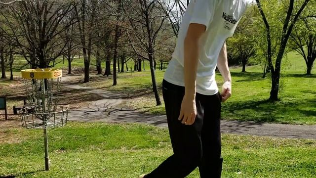 Back to back Fairway Aces [Disc Golf]