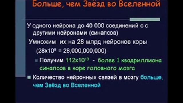 Мышление и Бытие совпадают. Т.Черниговская