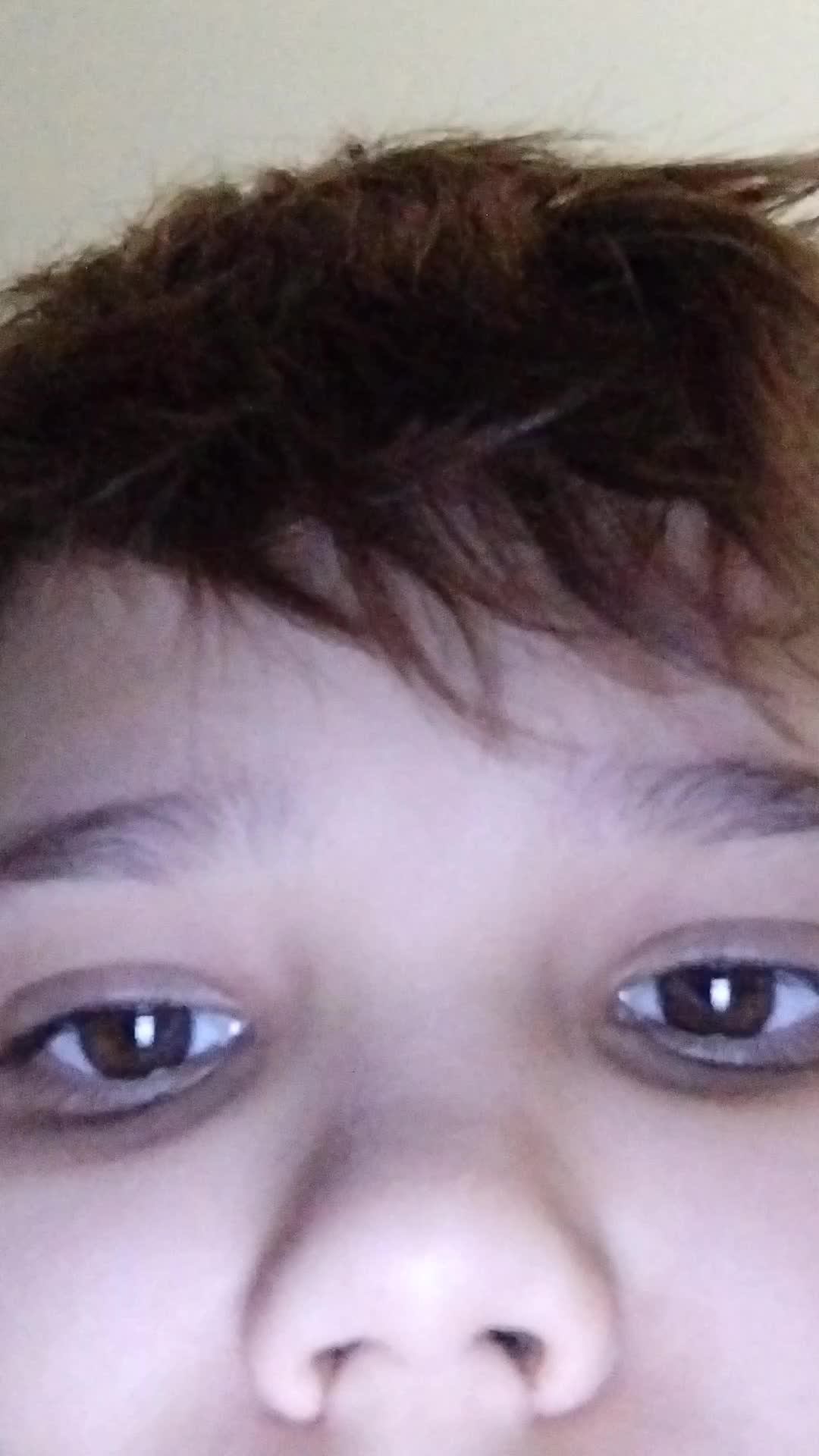 stanboff