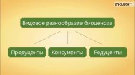 63. Естественные и искусственные биоценозы