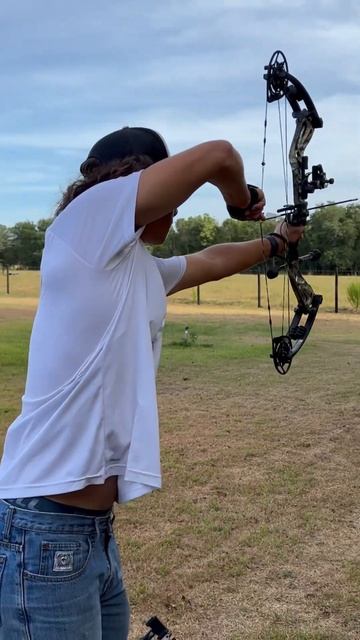 Sirius archery micro diameter Orion arrows