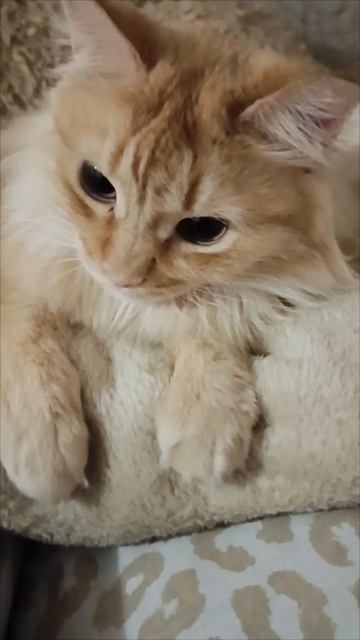 Соня😻💝