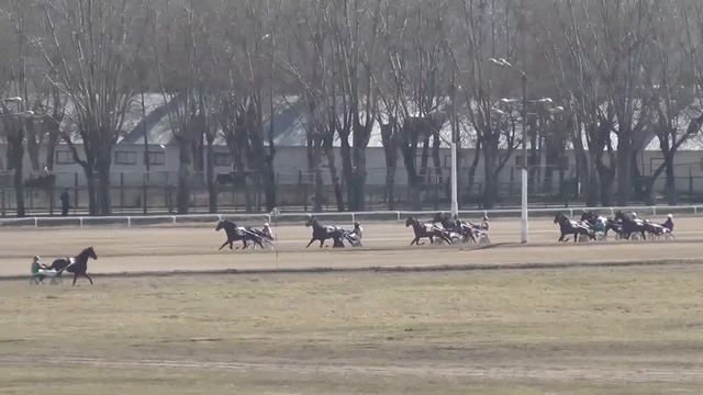 Московский ипподром. Бега. 30.03.14. Заезд 3(100)