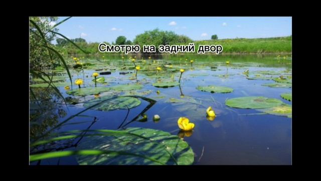 Кипиш на реке