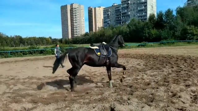 Вариант 2015