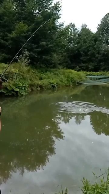 Как вам улов? 😋