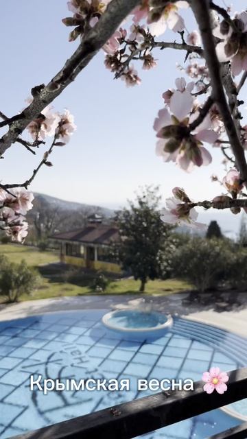 Весна в Крыму. Кореиз.