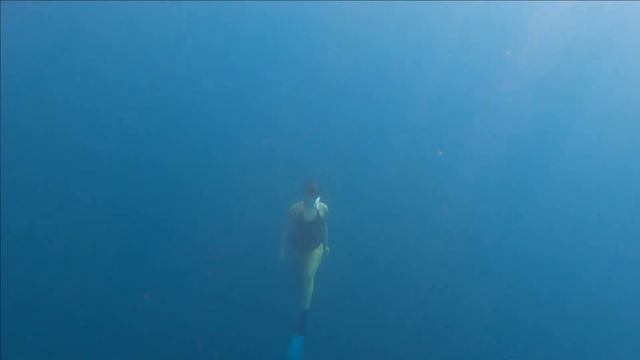 Freediving in the Philippines (A way to end 2020 with a blast!)