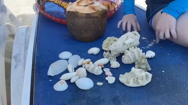 Какие океаны вы знаете? Угадайте, на каком из них отдыхает Арсений? 😎