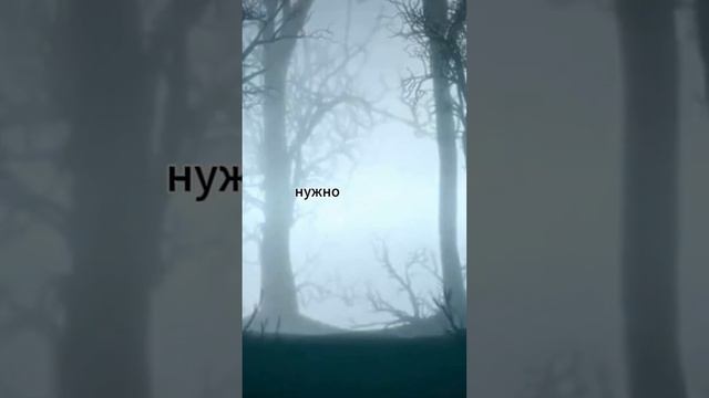 что в поезде?