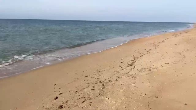После ЧП с танкерами новые выбросы мазута были зафиксированы на семи участках побережья Анапы