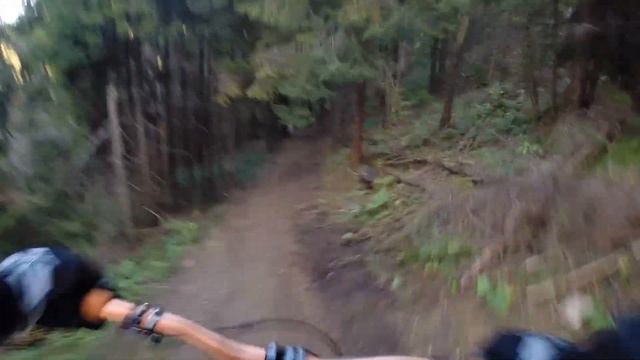 Захар Беркут черная трасса downhill