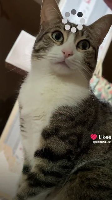 1000016590.mp4