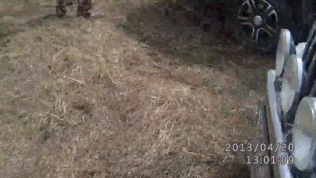 ветка сакуры спецучасток