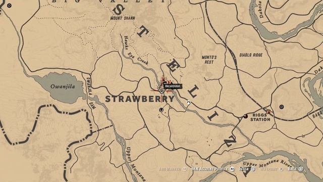 RED DEAD ONLINE - SUIT OF SWORDS TAROT CARDS | FIVE OF SWORDS