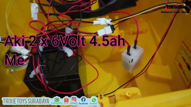 Mini Cooper Pliko PK 8100 Mainan Anak Mobil Aki JEEP Electric Kids Car Toys