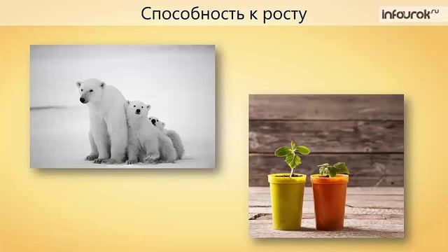 1. Зоология - наука о животных