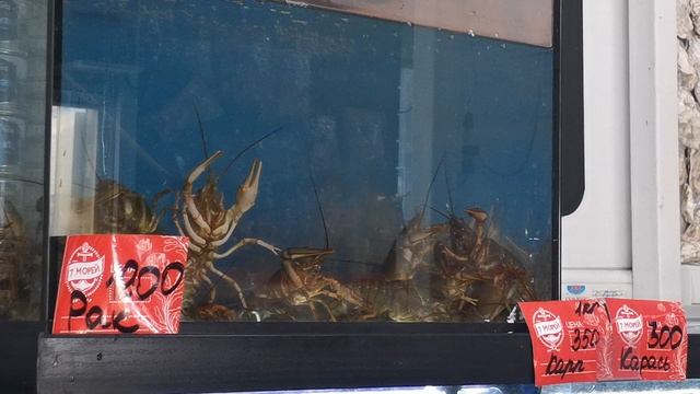 VID_20220721_140651