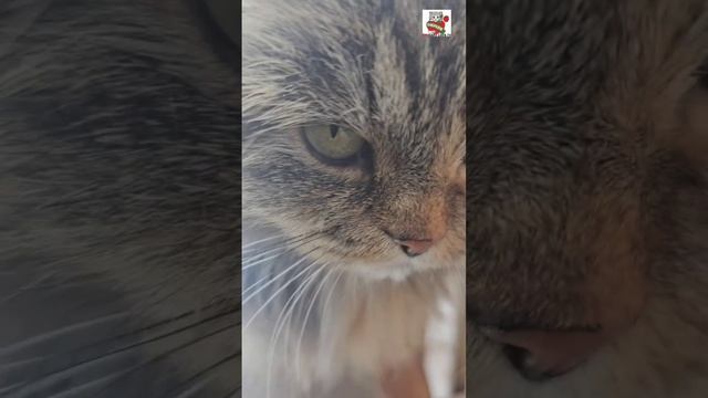 Доброго дня Ребята 🌞❤️😻