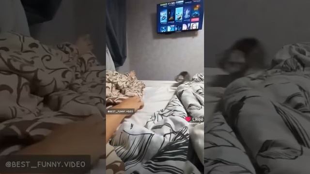 1000016586.mp4