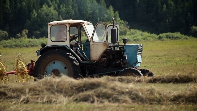 Летний день – год кормит. Сенокос в самом разгаре