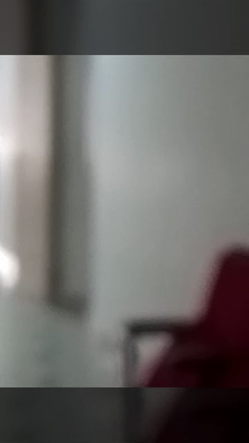 VID_20250307_095600.mp4