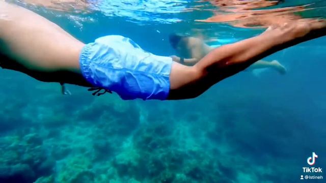 Diving with the sardines in napaling panglao island Bohol Philippines