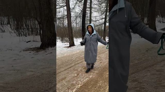 Собака не слушается на улице С этим точно можно работать - Мастер-класс по общению людей и собак