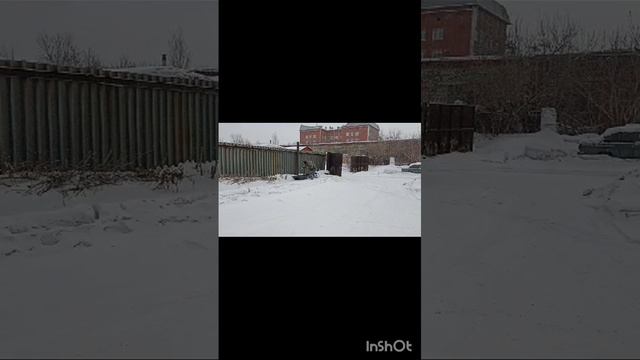 толкач Микроб