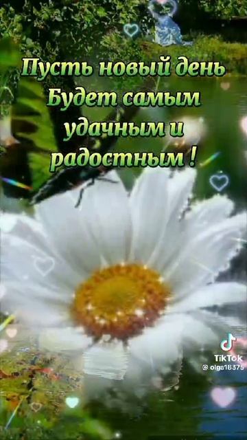 VID-20250309-WA0006