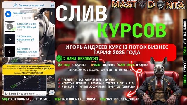 Игорь Андреев курс новый 25 год 13 поток