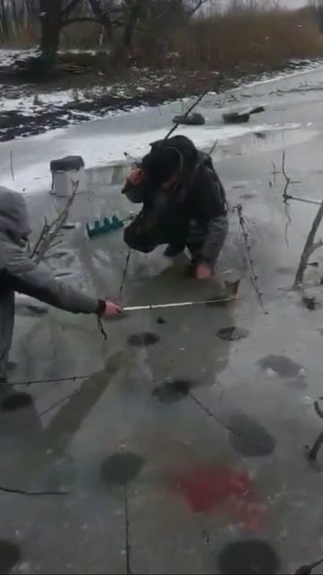 Смелые рыбаки.😎