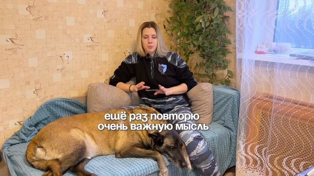 Лучший способ сделать собаку управляемой и послушной за месяц (пошаговая система)