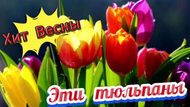 Хит Весны! Эти тюльпаны!