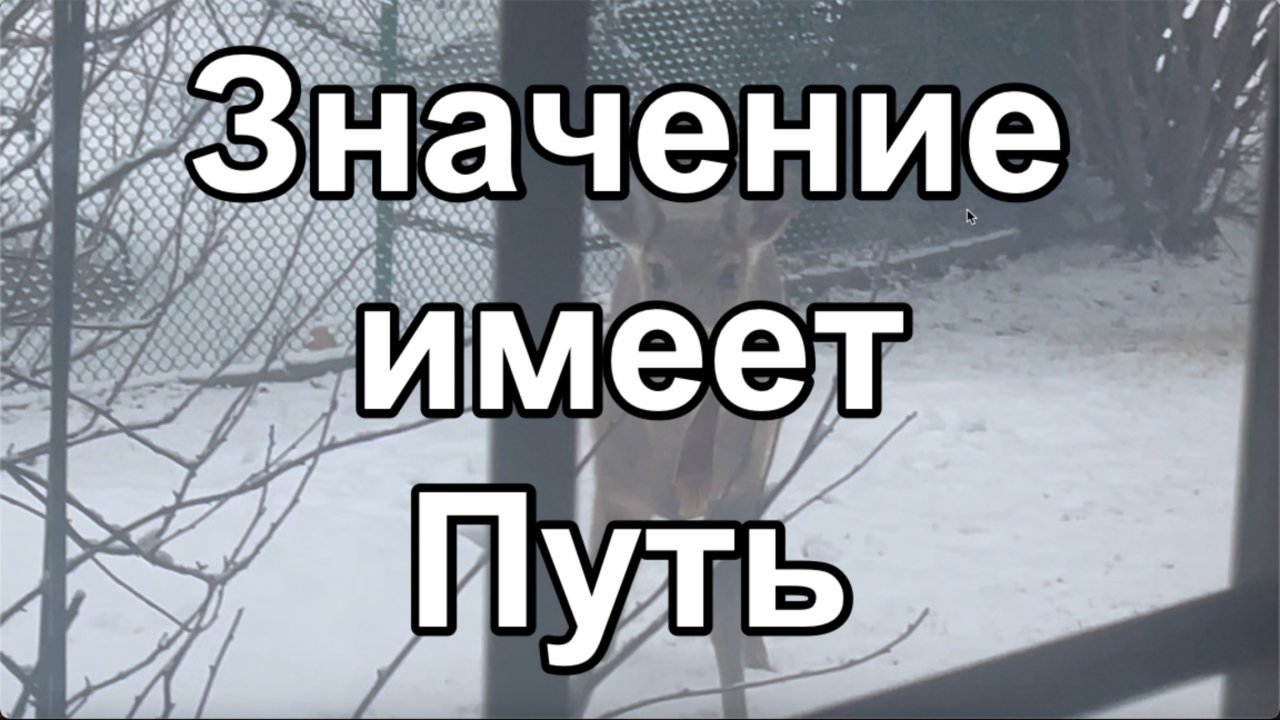 Кратко о важном: Значение имеет Путь